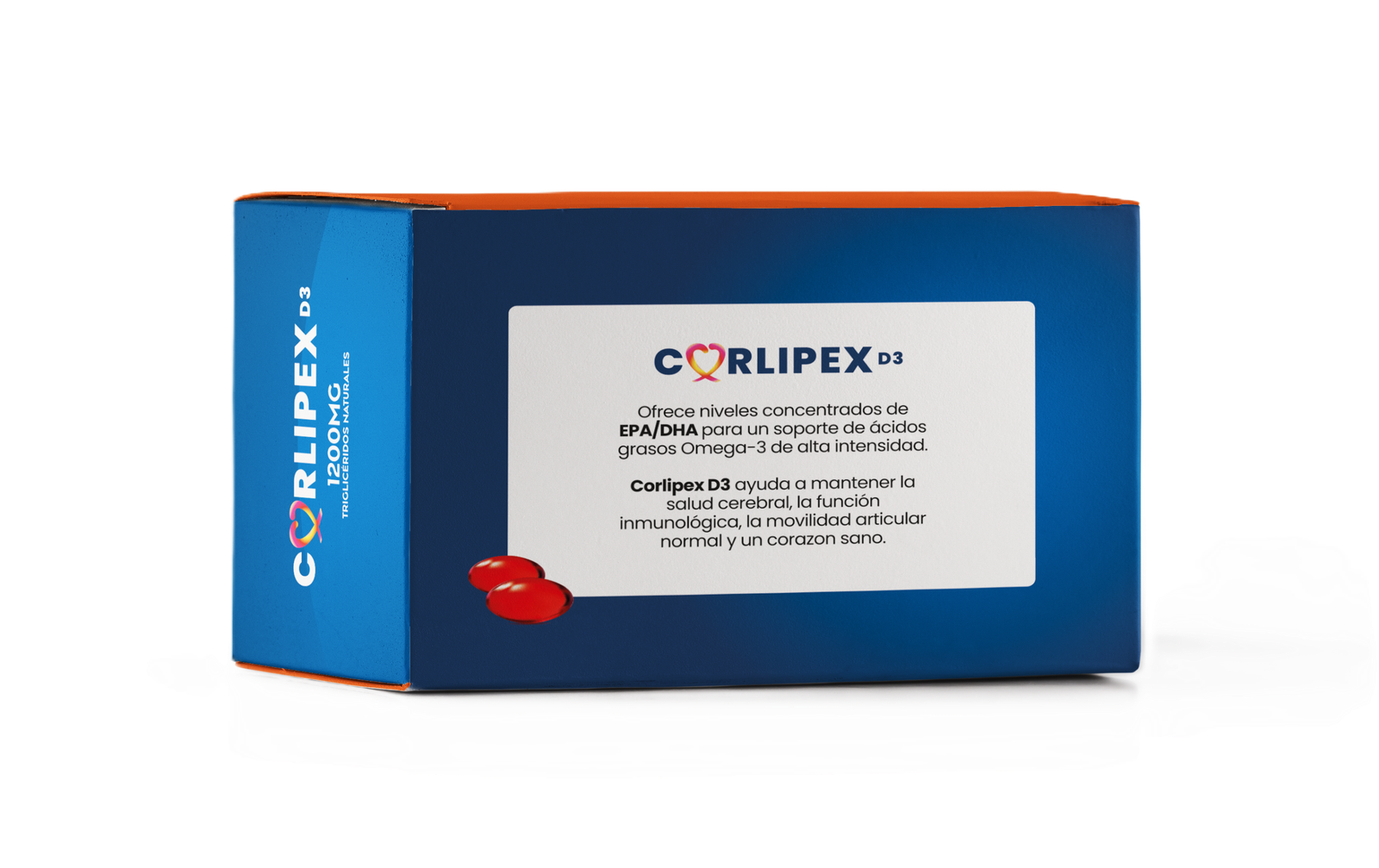 CORLIPEX cara posterior